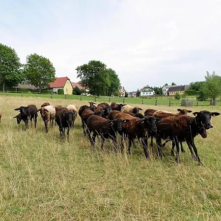 Hofkastanie דירה Lichtenberg